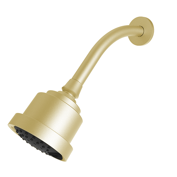 Santec - Multifunction Cylindrical Showerhead With Arm And Flange