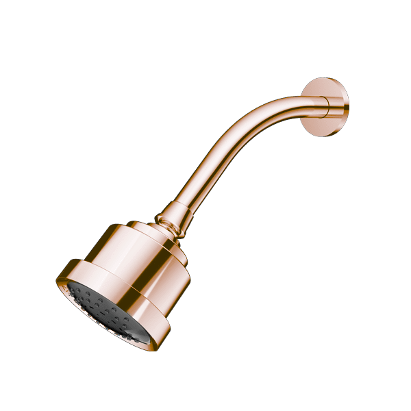Santec - Multifunction Cylindrical Showerhead With Arm And Flange