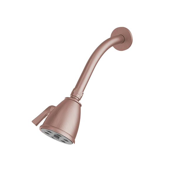 Santec - Standard 6 Port Showerhead With Arm And Flange
