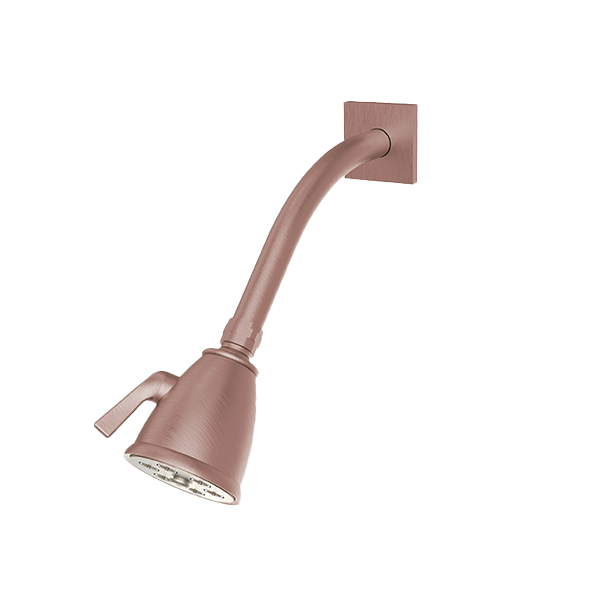 Santec - Standard 6 Port Showerhead With Arm And Flange