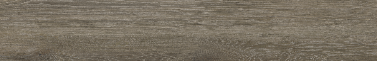 Roca Tile - Arden Vison 8 x 48R