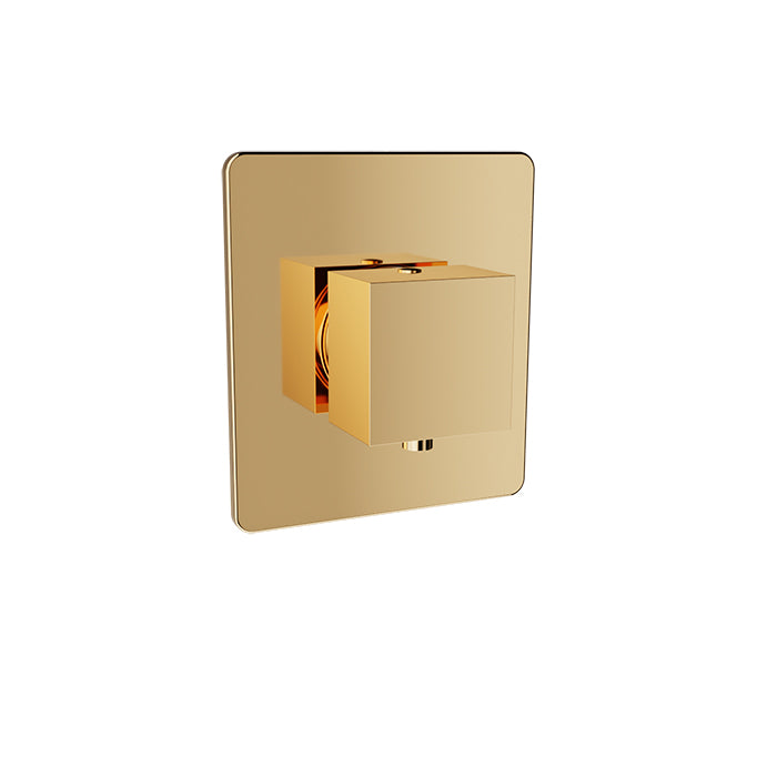 Baril - Rec B05 Trim only for 3/4 Inch thermostatic valve