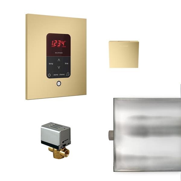 Mr. Steam - Basic Butler Steam Shower Control Package With Itempo Control And Aroma Designer Steamhead Square