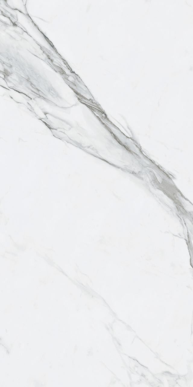 Roca Tile - Bianco Venatino Up 24 x 48 R