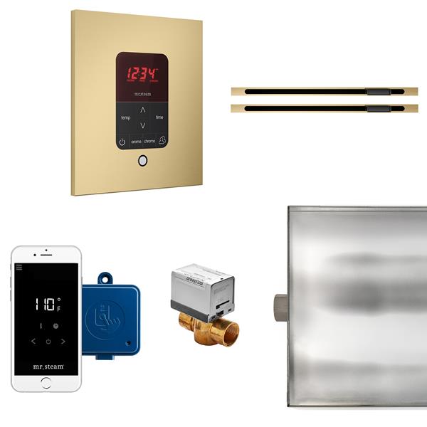 Mr. Steam - Butler Max Linear Steam Shower Control Package With Itempoplus Control And Linear Steamhead Square