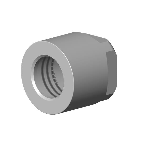 Dornbracht - Nut Ig-G3/4 Inch