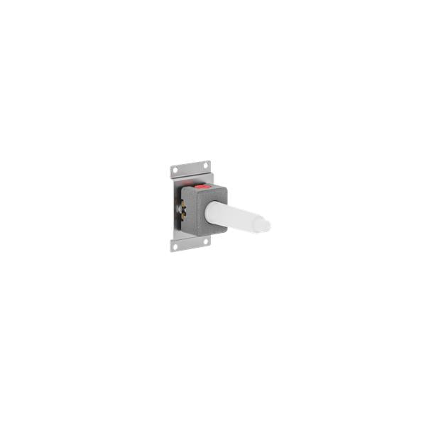 Dornbracht - Rough For Volume Control 1/2 Inch