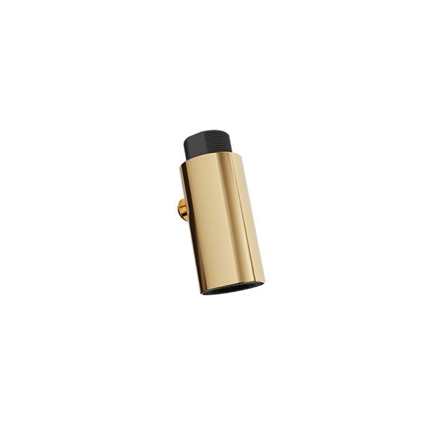 Baril - Brass 2-function pull-down spray head