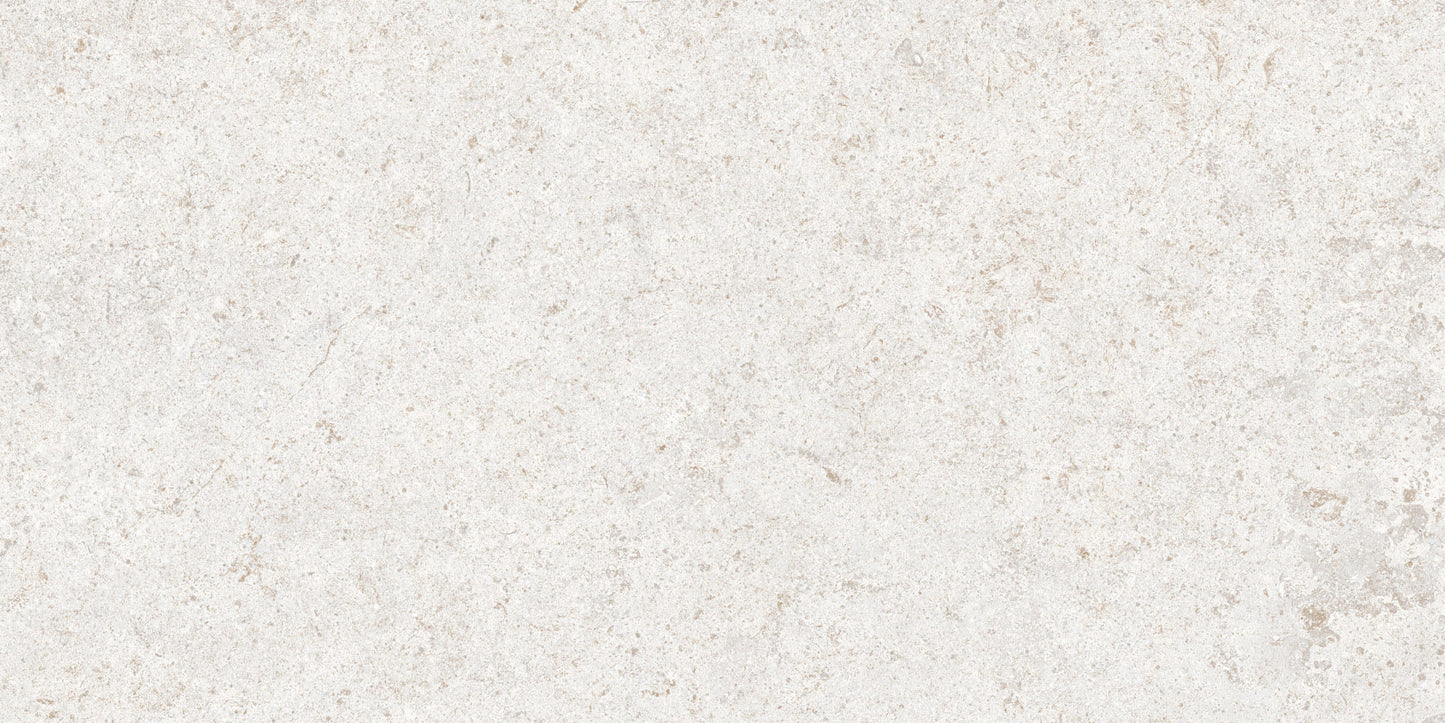Roca Tile - Basalt Fd 12 x 24 Inch Tile