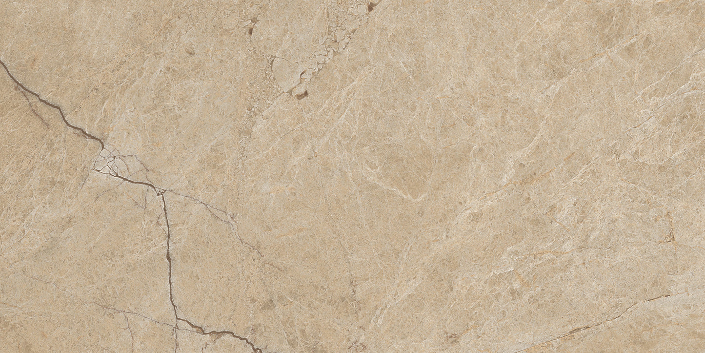 Roca Tile - 12 x 24 Moscato Fd Tile