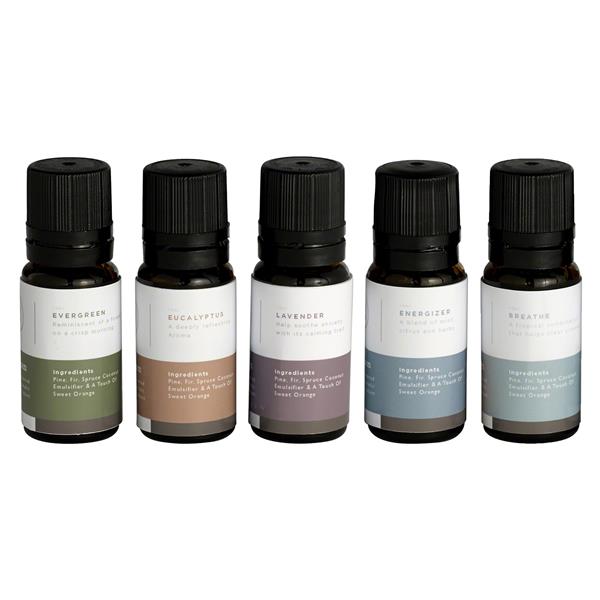 Mr. Steam - Multi Essential Aroma Oil Package In 10 Ml Bottle