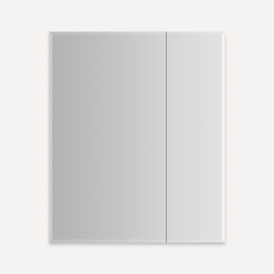 Robern - M Series Reserve Mirrored Cabinet 30X36, D6, Bevel Edge