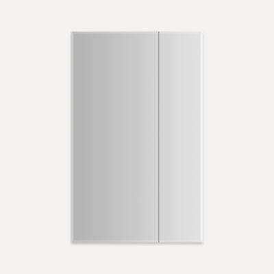Robern - M Series Reserve Mirrored Cabinet 30X48, D6, Bevel Edge