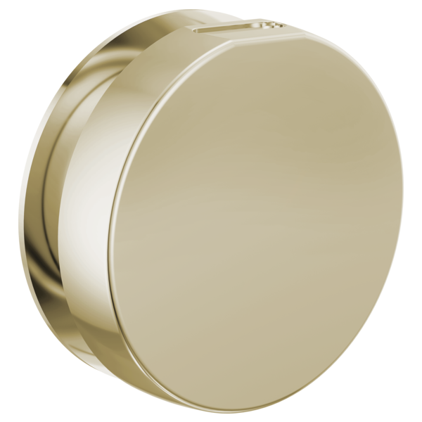 Brizo - Mystix Round Steam Head