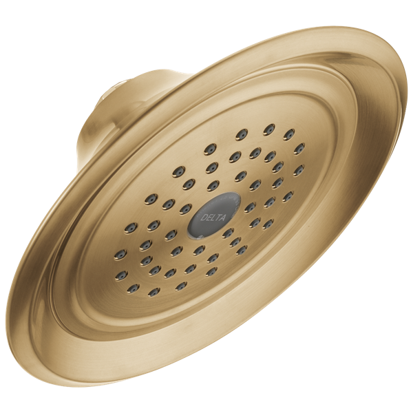 Delta - Single-Setting Raincan Shower Head
