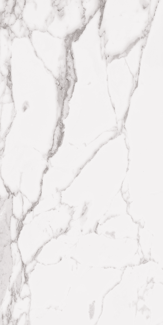 Roca Tile - Statuary White 24 x 48 R Up