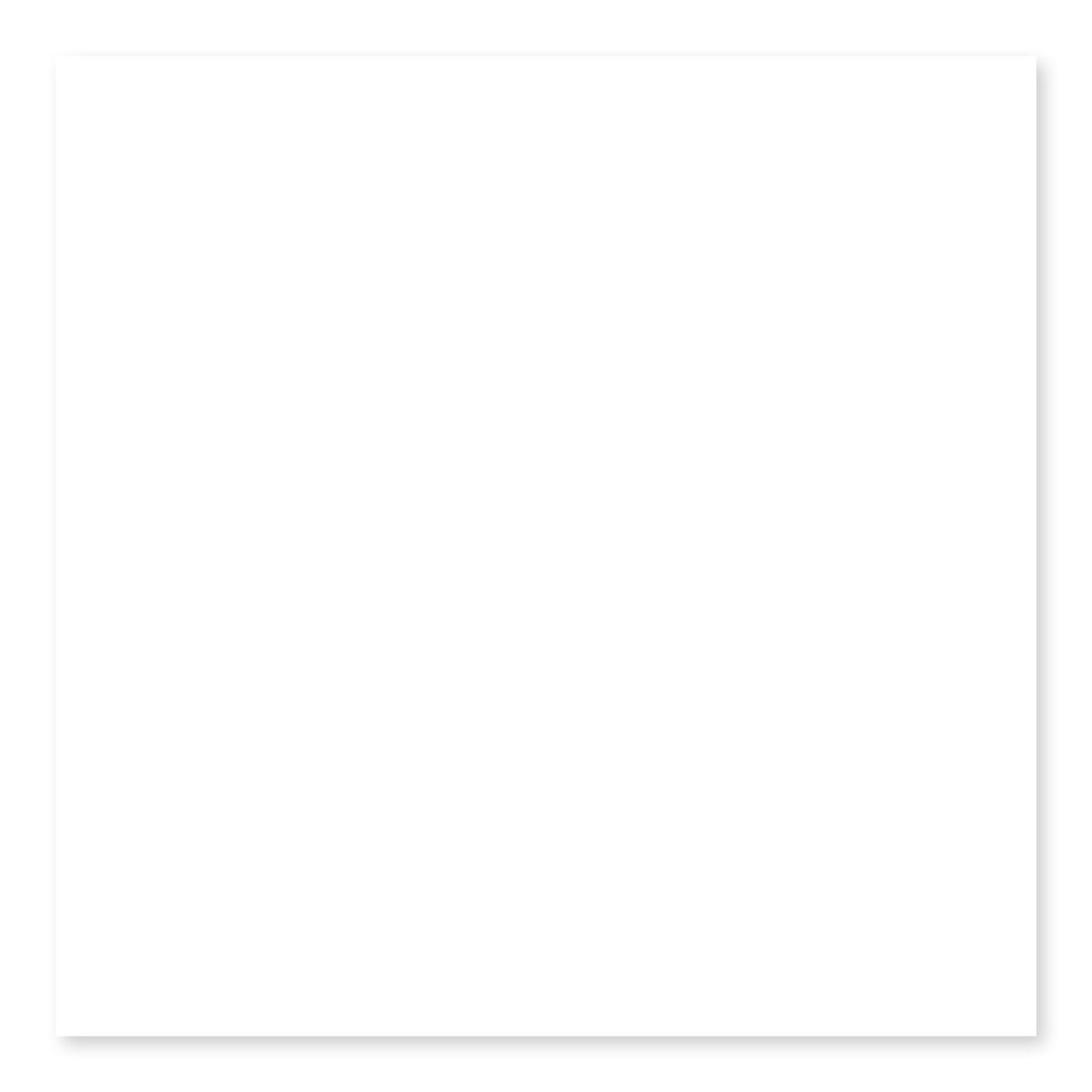 Roca Tile - Bright White Ice Tile