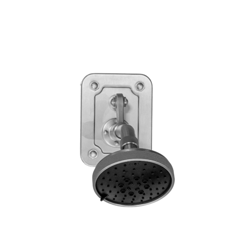 Waterstone - Argonaut Wall Mount Shower Head W/ Back Plate