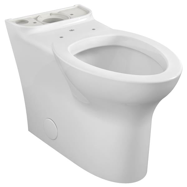 DXV - Equility Elongated Toilet Bowl