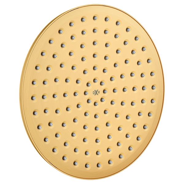 DXV - Oak Hill 10-Inch Rain Can Showerhead