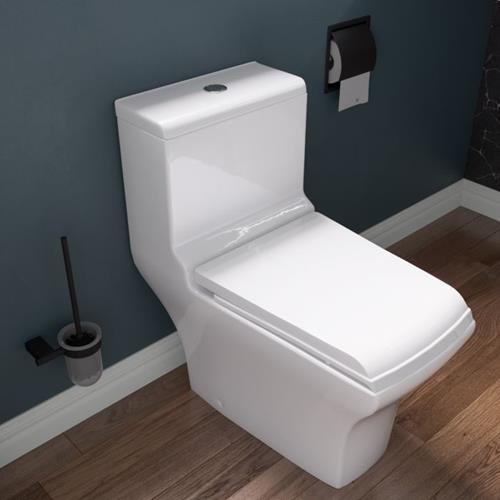 Eago - Dual Flush One-Piece Eco-Friendly High Efficiency Low Flush Ceramic Toilet