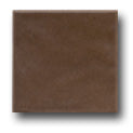 Ceramic Tile Trends - Matte Glazes / Chocolate