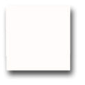 Ceramic Tile Trends - Matte Glazes / White