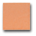 Ceramic Tile Trends - Bright Glazes / Peach