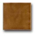 Ceramic Tile Trends - Bright Glazes / Caramel