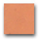 Ceramic Tile Trends - Plain Natural