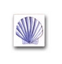 Ceramic Tile Trends - Marina / Blue Shell
