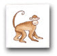 Ceramic Tile Trends - Monkeys