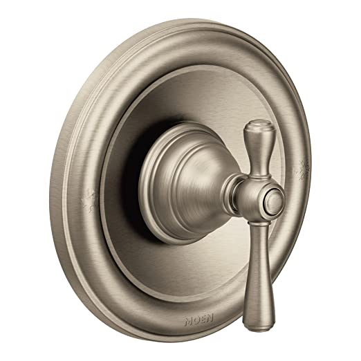 Moen:Accessories:T2154BN
