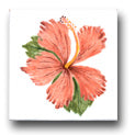 Ceramic Tile Trends - Aloha / Crema Background
