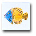 Ceramic Tile Trends - Aquarius