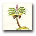 Ceramic Tile Trends - Aruba