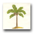 Ceramic Tile Trends - Aruba
