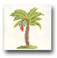 Ceramic Tile Trends - Aruba