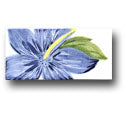 Ceramic Tile Trends - Aloha Border / Crema Background