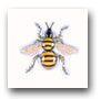 Ceramic Tile Trends - Critters / Bee
