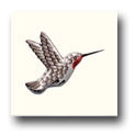 Ceramic Tile Trends - Hummingbirds / Matte Crema Background