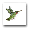 Ceramic Tile Trends - Hummingbirds / White Background