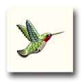 Ceramic Tile Trends - Hummingbirds / Matte Crema Background