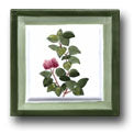 Ceramic Tile Trends - Botanicals