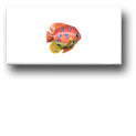 Ceramic Tile Trends - Cancun