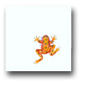 Ceramic Tile Trends - Critters / Frogs