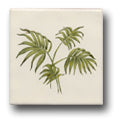 Ceramic Tile Trends - Greenery
