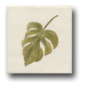 Ceramic Tile Trends - Greenery