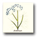 Ceramic Tile Trends - Herbs - Matte Crema Background