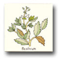 Ceramic Tile Trends - Herbs - Matte Crema Background